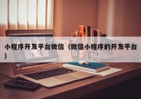 小程序开发平台微信（微信小程序的开发平台）