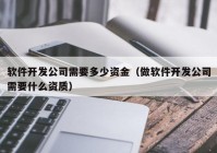 软件开发公司需要多少资金（做软件开发公司需要什么资质）