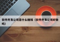 软件开发公司靠什么赚钱（软件开发公司好做吗）