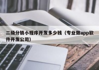 二级分销小程序开发多少钱（专业做app软件开发公司）